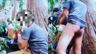 Video Mesum Pasangan Ngentot Di Bawah Pohon Besar, Bikin Basah!