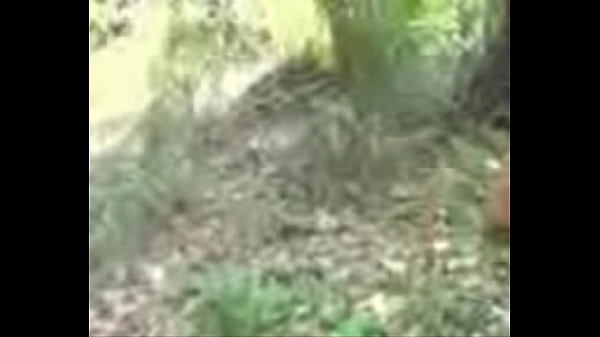 Baru Aja Dapet Video Desi 3gp, Bikin Makin Pengen!